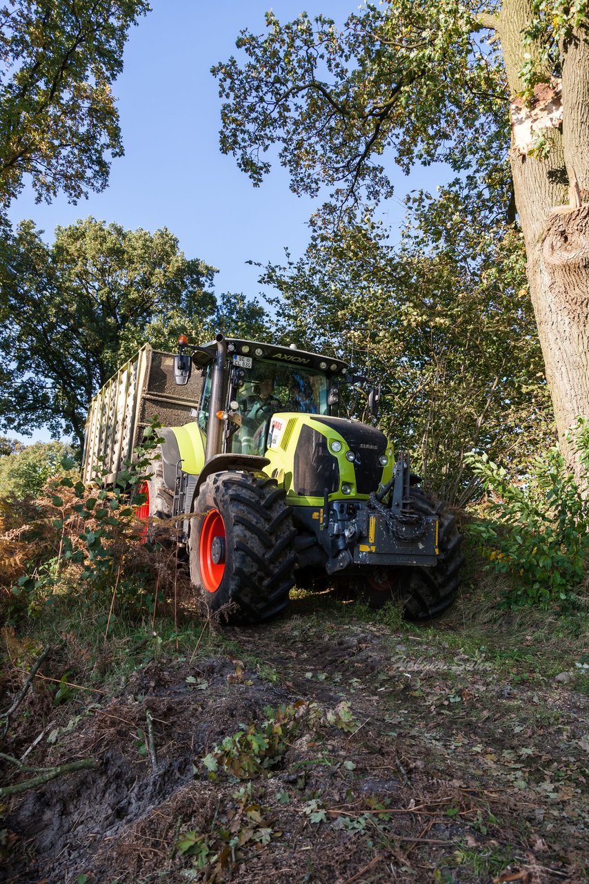 Bild 104 - Maisernte